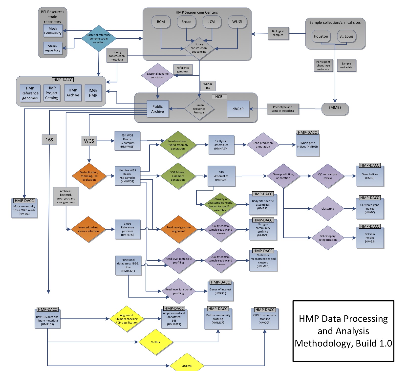 hmp data flow