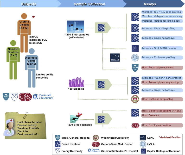 IBD model