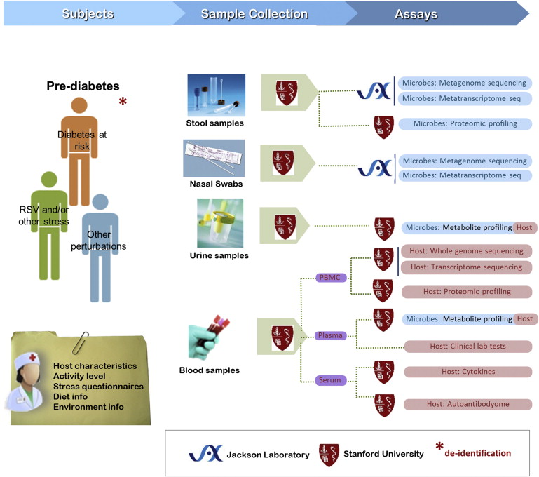 Prediabetes model